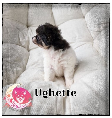 Ughette